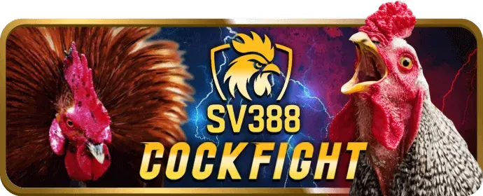 Đa dạng loại cược Tài Xỉu tại 888bet